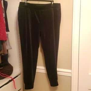 JJill Petite Medium Velour Jogger Pants in Excellent Condition